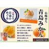 「明治屋 日本のめぐみ 長崎育ち 青島みかん 1個」の商品サムネイル画像4枚目