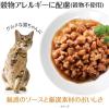 「ウェルネス 猫用 ヘルシーインダルジェンス 香るとろみスープ仕立て サーモン＆ツナ 85g 2袋 キャットフード ウェット パウチ」の商品サムネイル画像4枚目