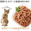 「ウェルネス 猫用 ヘルシーインダルジェンス 旨みしっとりフレーク仕立て ツナ＆エビ 85g 5袋 キャットフード ウェット パウチ」の商品サムネイル画像3枚目