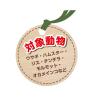 「小動物のかじっておいしい ミニコーン 小動物 200g 3袋 ドギーマン」の商品サムネイル画像3枚目