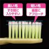 「生葉（しょうよう） もふもふ磨けるブラシ レギュラー やわらかめ 小林製薬 歯ブラシ」の商品サムネイル画像4枚目