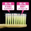 「生葉（しょうよう） もふもふ磨けるブラシ コンパクト やわらかめ 小林製薬 歯ブラシ」の商品サムネイル画像5枚目
