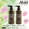 「テンスター カラーシャンプー ダークブラウン ポンプ 300ml 三宝」の商品サムネイル画像3枚目