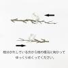 「【アウトレット】Bande（バンデ） マスキングテープ マステアートキット ソメイヨシノ BDA525 西川コミュニケーションズ」の商品サムネイル画像2枚目