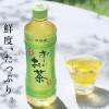 「【ワゴンセール】伊藤園 おーいお茶 緑茶 350ml 1セット（6本）（わけあり品）」の商品サムネイル画像4枚目