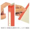 「プラス 年組氏名 スクール フラットファイル A4タテ レッド 79349 1冊」の商品サムネイル画像6枚目