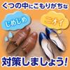 「ノンスメルドライ くつ用 除湿＆脱臭 2足分 5個（4シート入×5） 白元アース」の商品サムネイル画像3枚目