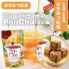 「PonCha（ポンチャ） はちみつ紅茶 フリーズドライティー 1袋（10粒入）」の商品サムネイル画像3枚目