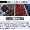「屋内外兼用玄関マット アイアンホース（ストライプ）ブラック・ブラウン 36 x 60 cm 1枚」の商品サムネイル画像3枚目