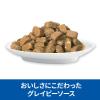 「キャットフード サイエンスダイエット 猫 腸の健康サポートプラス チキン パウチ 85g 12袋 日本ヒルズ」の商品サムネイル画像4枚目