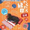 「わくわく縁日 法被 はっぴ ベッド 1個 犬用 猫用 ドギーマンハヤシ」の商品サムネイル画像3枚目