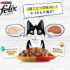 「ピュリナ フィリックス 総合栄養食 ダブルのおいしさ チキン＆ビーフ 50g 6袋 キャットフード パウチ ネスレ日本」の商品サムネイル画像4枚目