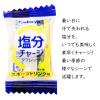 「暑さ対策 塩分チャージタブレッツ 81g 1個」の商品サムネイル画像5枚目