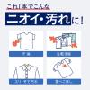 「アタックゼロ（Attack ZERO） 部屋干し 本体 大サイズ 570g 1セット（2個入） 衣料用洗剤 花王」の商品サムネイル画像9枚目