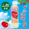 「ロ】伊藤園 ニッポンエール 山形県産 さくらんぼ 500g 1箱（24本入）」の商品サムネイル画像3枚目