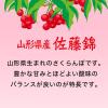 「ロ】伊藤園 ニッポンエール 山形県産 さくらんぼ 500g 1箱（24本入）」の商品サムネイル画像4枚目