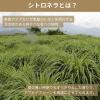 「【夏のレジャーのお供に】 生活の木 シトロネラ アウトドアスプレー 虫除け 天然由来成分100% 100mL 1本」の商品サムネイル画像3枚目