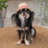 「ソルグラ ギンガム麦わら帽子 Sサイズ レッド 1個 犬用 アルクロース」の商品サムネイル画像2枚目