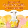 「ビオレ ザ ハンド 泡ハンドソープ ふっとほどける陽だまり果実の香り 詰め替え 340ml 1個 花王【泡タイプ】」の商品サムネイル画像5枚目