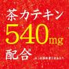 「コカ・コーラ 綾鷹 濃い緑茶 525ml ラベルレス 1セット（48本）」の商品サムネイル画像8枚目