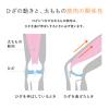 「SIXPAD Knee Fit M」の商品サムネイル画像3枚目