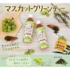 「【ワゴンセール】サーフビバレッジ マスカットグリーンティー 500ml 1セット（6本）（わけあり品）」の商品サムネイル画像3枚目