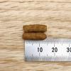 「キャットスマック まぐろ味 国産 2kg 1袋 スマック キャットフード」の商品サムネイル画像6枚目