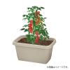 「【園芸用品】中山福 ベストコ プランター 深型 長方形 520型 アイボリー MA-4182 1個」の商品サムネイル画像2枚目