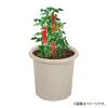 「【園芸用品】中山福 ベストコ 鉢 ポット 10号 アイボリー ベジタブル＆フラワー ガーデン MA-4191 1個」の商品サムネイル画像2枚目