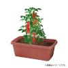 「【園芸用品】中山福 ベストコ プランター 深型 長方形 720型 テラコッタ MA-4184 1個」の商品サムネイル画像2枚目