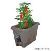 「【園芸用品】中山福 ベストコ プランター 給水式 深型 長方形 500型 グレー MA-4203 1個」の商品サムネイル画像2枚目