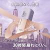 「メイベリン SPステイ ルミマット リキッド ファンデーション W20 35ml」の商品サムネイル画像3枚目