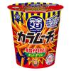 「完全メシ カラムーチョ ホットチリ味 6箱 湖池屋 スナック菓子 おつまみ」の商品サムネイル画像2枚目