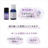 「デイリーディライト エッセンシャルオイルS 100%天然精油 ラベンダー おだやかな時間に 3mL 1個 グローバルプロダクトプランニング」の商品サムネイル画像2枚目