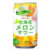 「【ワゴンセール】セコマ 北海道メロンサワー 350ml 缶 6本（わけあり品）」の商品サムネイル画像2枚目