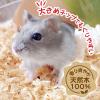 「快適 やわらかベッド 小動物用 12L 1袋 ドギーマンハヤシ」の商品サムネイル画像3枚目