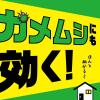 「虫こないアース 玄関灯・外壁に 長日数持続タイプ 450mL 害虫駆除 スプレー 1本 アース製薬」の商品サムネイル画像3枚目