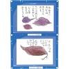 「アーテック 縦横連結掲示ホルダー A4 3614 6個」の商品サムネイル画像2枚目