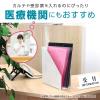 「セキセイ クリアホルダー ワイドアンドハーフ シールック クリア CLK-2404-1 1セット(20枚入)」の商品サムネイル画像9枚目