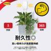 「スリーエム(3M) コマンド フック 壁掛け 傷つけ ない きれいにはがせる XXL 耐荷重6.8kg 1パック CMXXL」の商品サムネイル画像6枚目