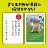 「アーテック 変ないきものかるた 3568 1セット(5個)」の商品サムネイル画像3枚目