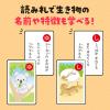 「アーテック いきものかるた 3286 1セット(5個)」の商品サムネイル画像6枚目