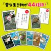 「アーテック 変ないきものかるた 3568 1個」の商品サムネイル画像4枚目