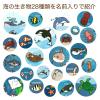 「アーテック 海のいきものパズル 3124 3個」の商品サムネイル画像4枚目