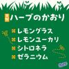 「サラテクト まこちゃんガード 日焼け止め ミルク SPF50+・PA++++ 50g 子供 顔用 体用 アース製薬」の商品サムネイル画像7枚目