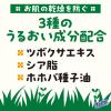 「サラテクト まこちゃんガード 日焼け止め ミルク SPF50+・PA++++ 50g×2 子供 顔用 体用 アース製薬」の商品サムネイル画像7枚目