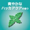 「虫コナーズ アミ戸に貼るタイプ 網戸用虫除け 200日 2個入 ハッカアクア 1個 KINCHO キンチョー」の商品サムネイル画像5枚目
