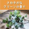「虫よけカオリング　大人用　６個入 虫よけ カオリング　虫除け 1袋（6個入） KINCHO キンチョー」の商品サムネイル画像6枚目
