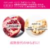「イソフLABO 20%クリーム 40g 明色化粧品」の商品サムネイル画像3枚目