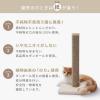 「バリバリつめとぎポール L ダンボール 交換用 2本セット 1個 猫壱 爪とぎ」の商品サムネイル画像7枚目